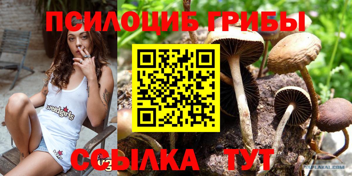 Галлюциногенные грибы MAGIC MUSHROOMS Щёлково